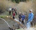 2017 Canyon Creek Conservation Project