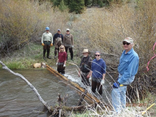 2017 Canyon Creek Conservation Project