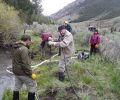 2016 Canyon Creek Conservation Project