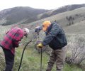 Tincup Creek Conservation Project